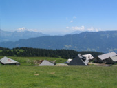 summer meadows at Semnoz