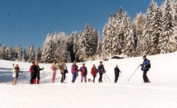 walking on snow